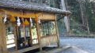 こじんまりとした池