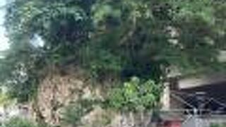 バスセンターの真ん前にあります