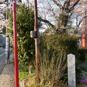 ここの桜がとても綺麗だけど～八坂神社の駐車場？？？