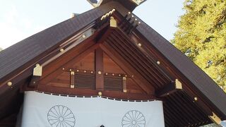 エゾリスに出会えます