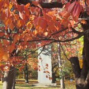 10月下旬、紅葉の木立の中に佇む背の高い石碑