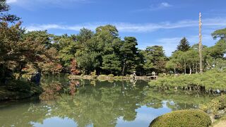 少し色づき始めてます