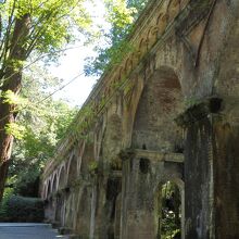 この位置からの撮影がいいようだ