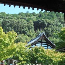 入り口の山門から見える景色