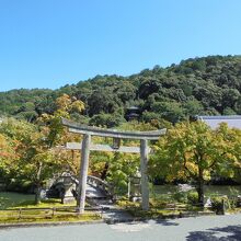 参道前の広場から撮影