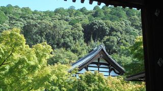 池の景色が素晴らしい