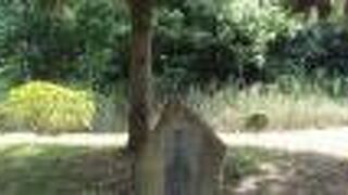 緊急事態宣言終わって、賑わってきました