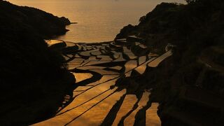 田んぼの水張りが始まる毎年4月中旬ー5月上旬まで限定で、水田が鏡面のように輝いてオレンジ色に染める：浜野浦の棚田