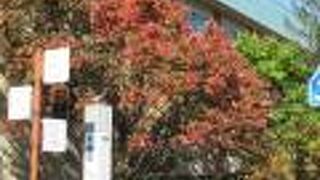 西から三番目の坂ですよ