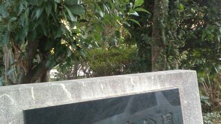 愛着のある公園です