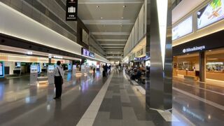 与論島1人旅で利用！