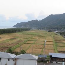 田園風景が広がります。