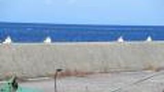 海鳥たちの憩いの場なのね