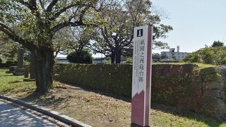 大砲並べたら？