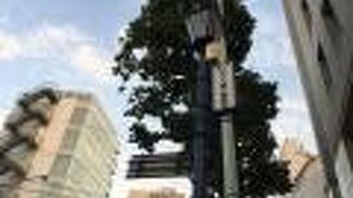 ワタリウム美術館へ