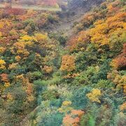 紅葉がきれい