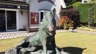 パワースポットのイノシシ