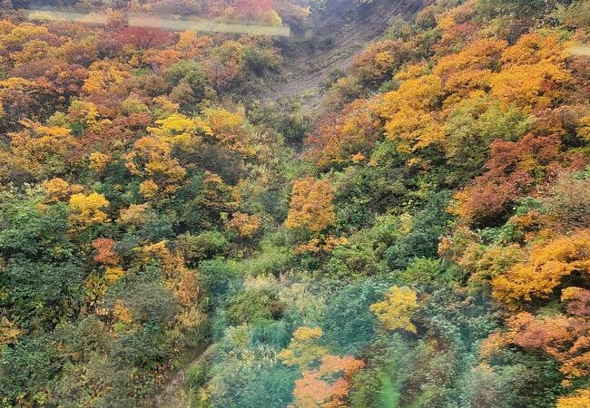 紅葉がきれい