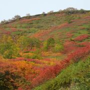 車で行ける紅葉の名所だが、最盛期はマイカー規制でシャトルバスに。