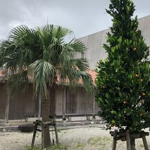 野外展示（無料）