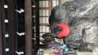 星ひとみさんおすすめの神社