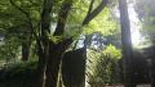 飛鳥から電動レンタサイクルで行きました