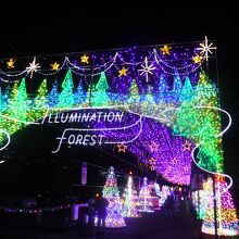 イルミネーションも綺麗でした