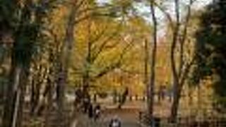 穏やかな紅葉スポット