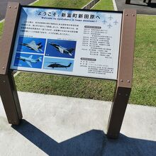 新田原基地航空祭