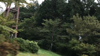 芦ノ湖のほとり