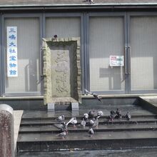 鳩が気になる