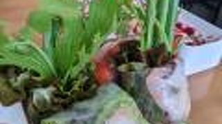 プアン 本厚木店