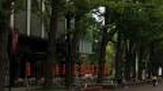 アカプラに面した