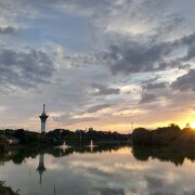 花博記念公園はお花の好きな人の憩いの場