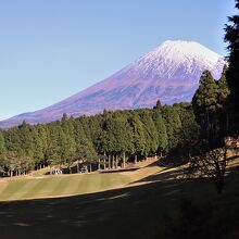 富士山が見えるホールが多く、景色も楽しめました