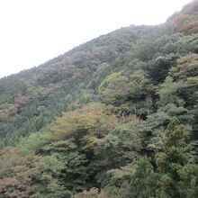 石鎚山(愛媛県西条市)