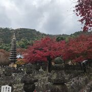 あだし野は、平安時代からの墓地