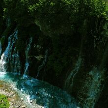透明度が高くて輝いていました