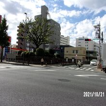 西側の景観です。