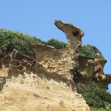 野柳風景特定区