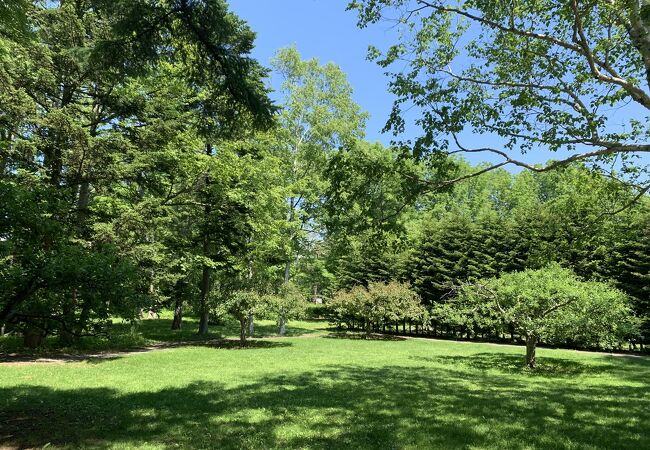 緑も花もある広い公園