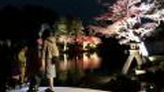 無料なのが、良いですね！