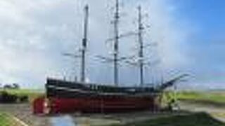 一面チューリップが咲き乱れますよ