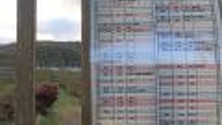 通過時間に合わせて行きましょうね