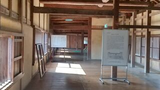 ひこにゃん人気は健在です