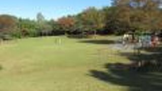 自然が残っています