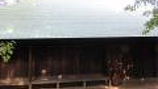 竹林の中にあります