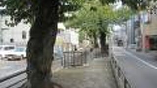 幅３ｍ弱の歩道です