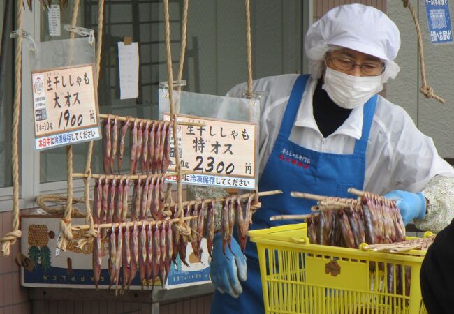 カネダイ大野商店