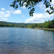 原生林の中の湖を独り占めできる。